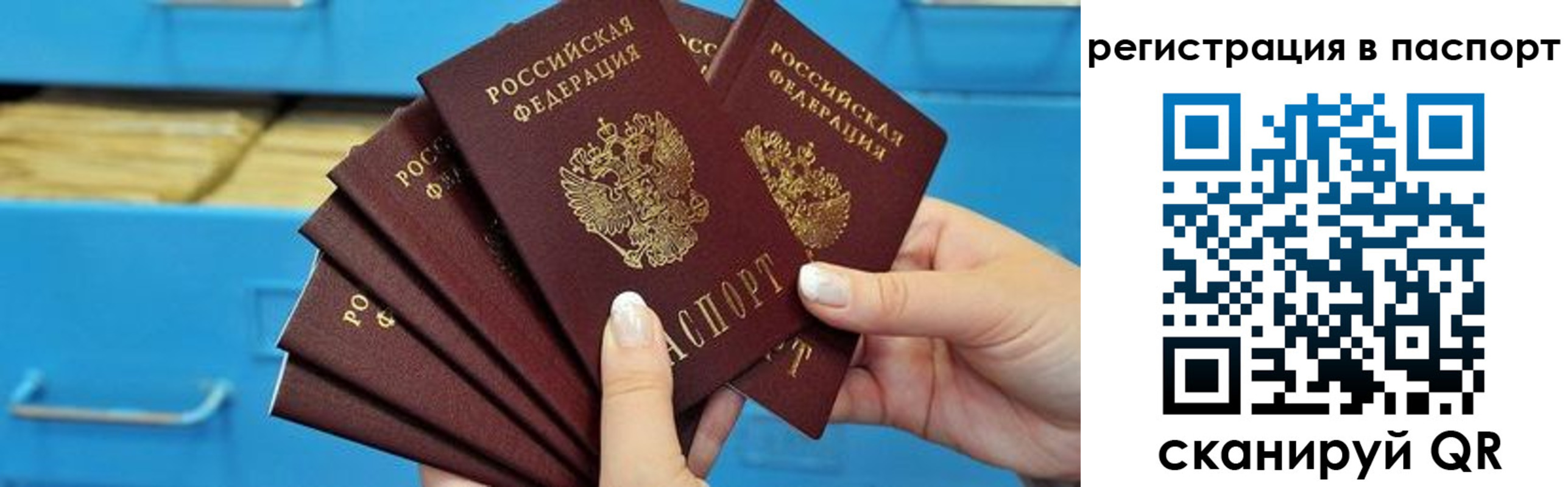 регистрация в Мончегорске